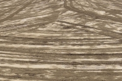 440833818_1187312715770140_1447568508865318918_n